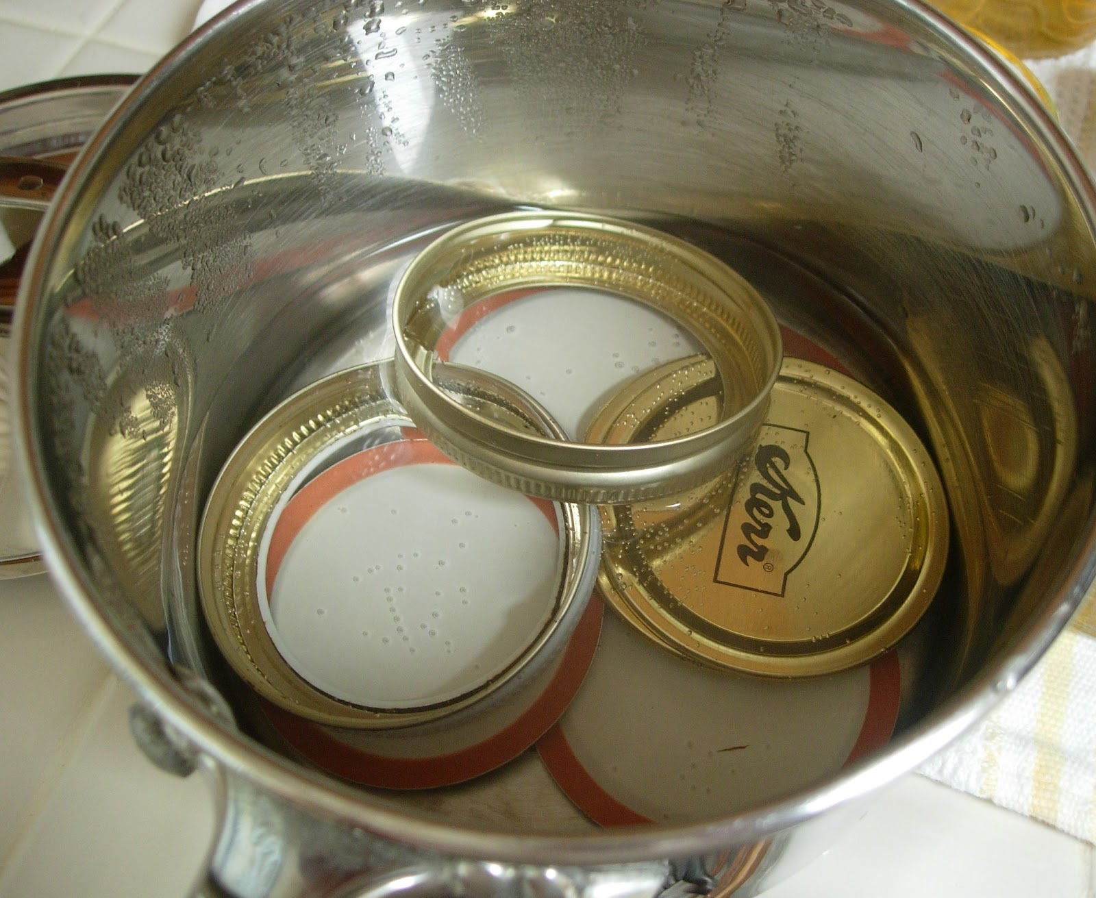 A Table For Rue, Please Lemon Verbena Jelly