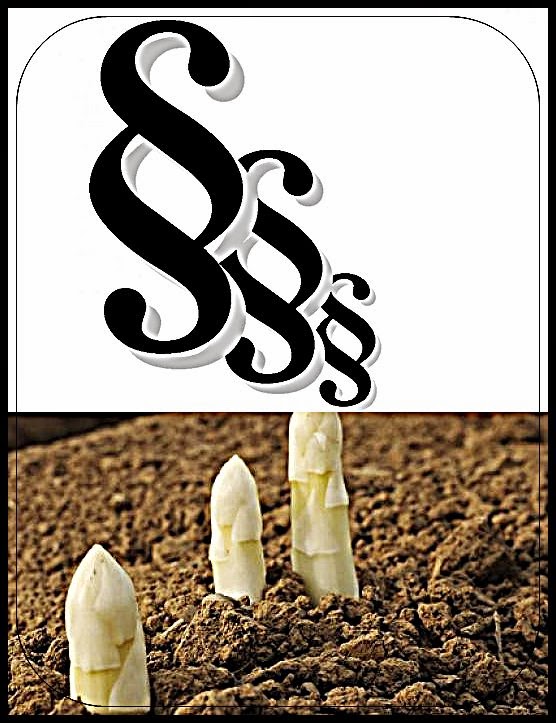 In Die Topfe Geschaut Macht Mit Beim 11 Play Doh