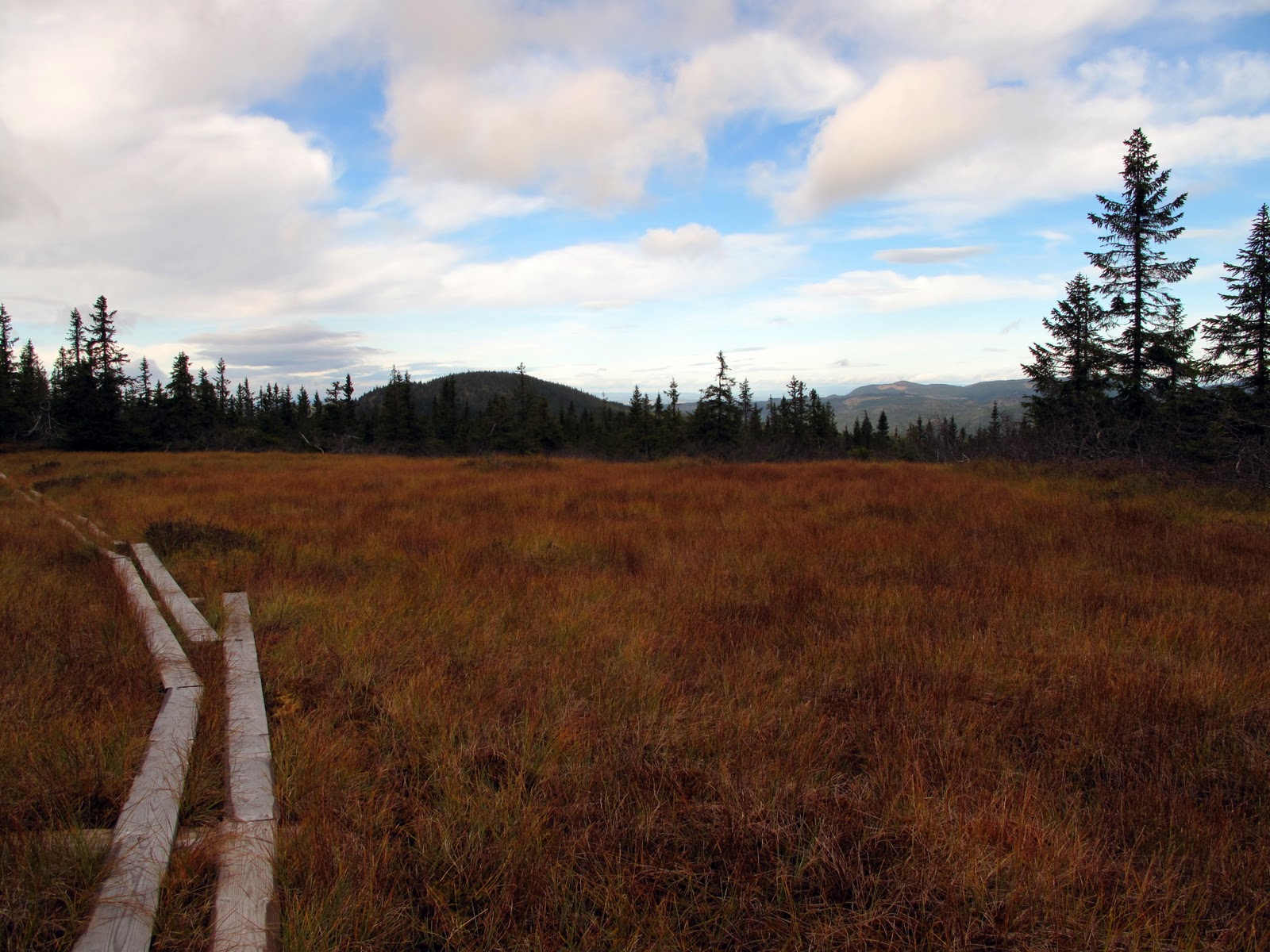 [Image: IMG_6187.JPG]