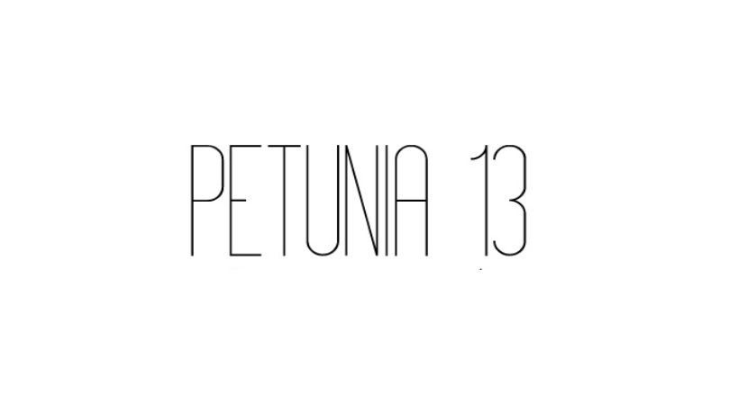 PETUNIA 13