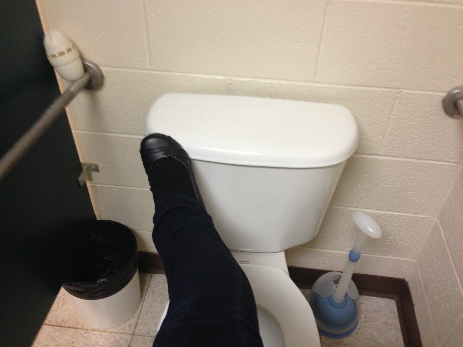 Kitty Adventures How to Use the Public Restroom