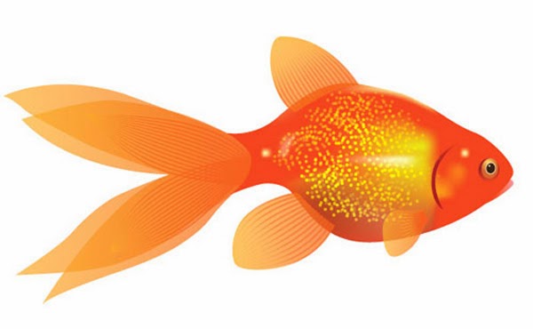 Create a Vector Goldfish in Six Steps Create a Vector Goldfish in Six Steps