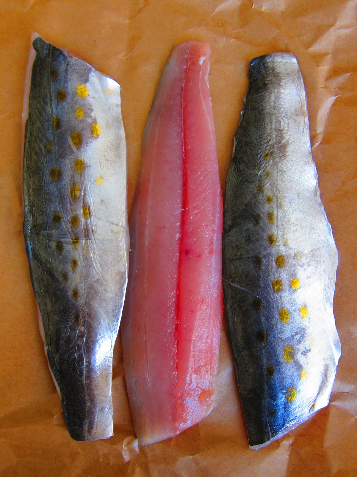 Mackerel Meaning In One Word at Tammy Phillips blog