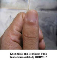 analisa telapak tangan analisa telapak tangan