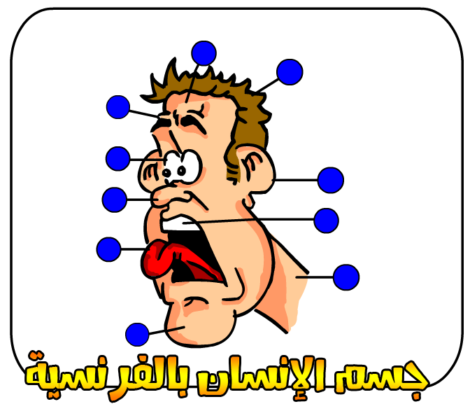 العاب اطفال تعليمية باللغة الفرنسية العاب فرنسية الجزء الثاني