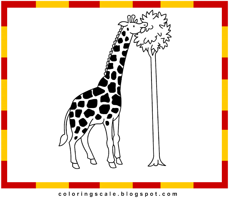  giraffe coloring easily by downloading a free giraffe coloring image title=