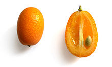 Fruit.jpg