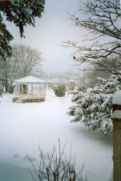 Gerry Park in Winter