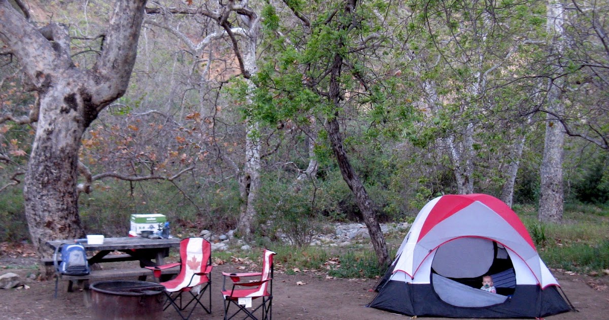 the sky is big in pasadena camping in february