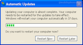 Windows Update causes loop failure for users running Windows XP with .NET framework.