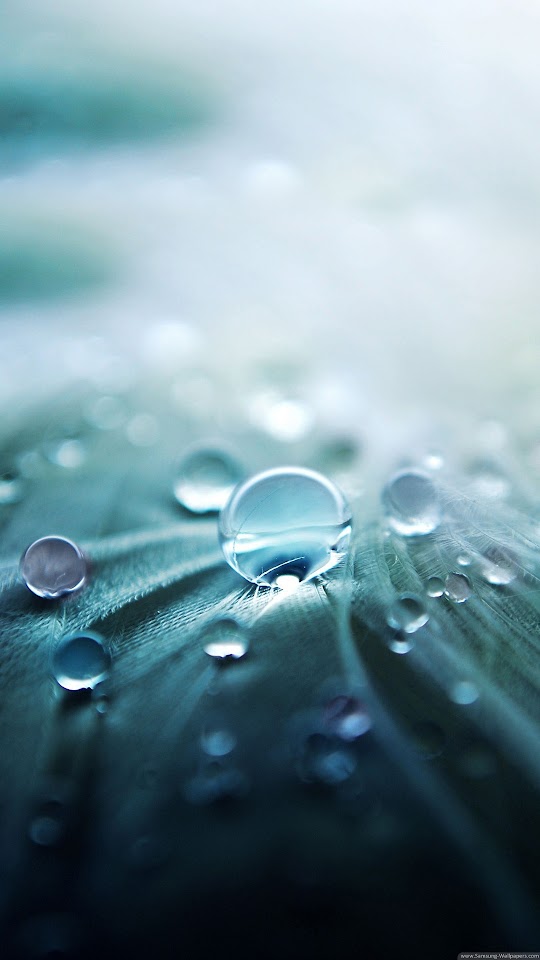 Water Drop Macro Closeup  Galaxy Note HD Wallpaper