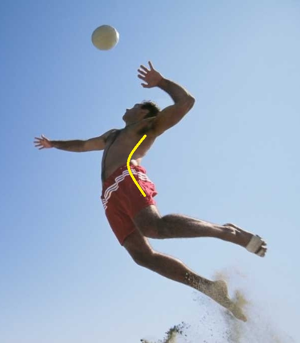 Biomechanics of a Volleyball Spike HLPE3531 June 2015