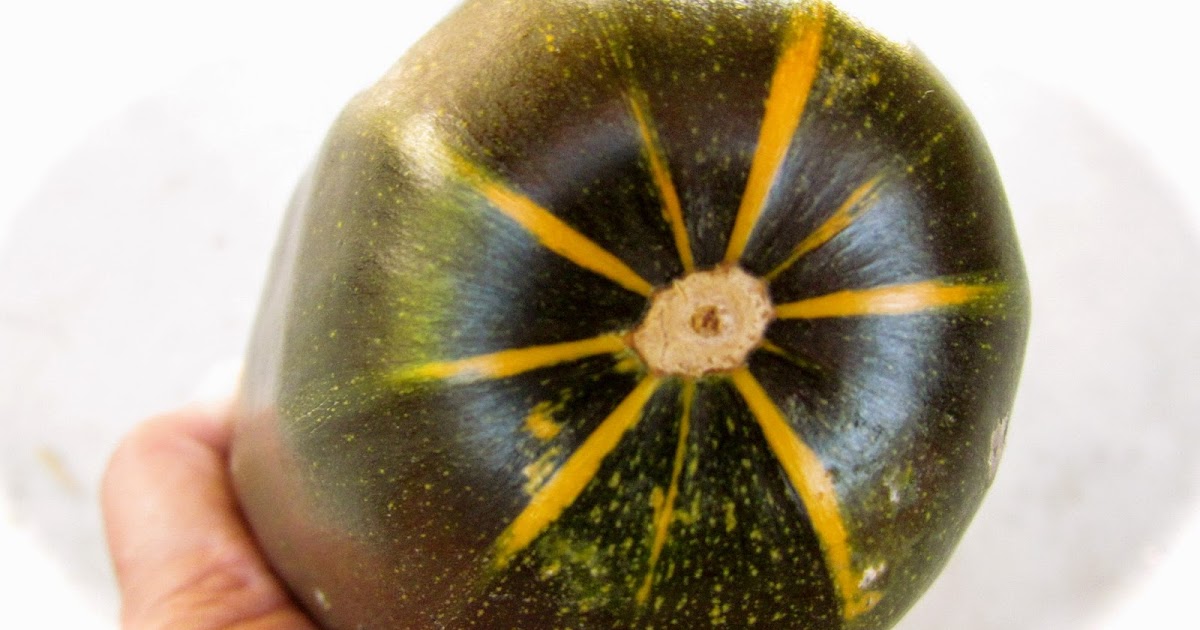 Seed Revolution Now! Dark Star Zucchini