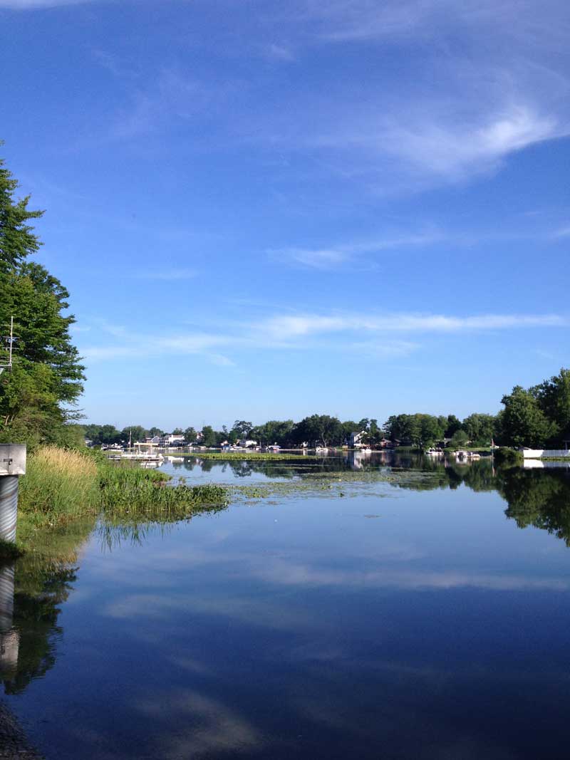 Where's Eldo? Flora and Fauna of Elkhart, IN