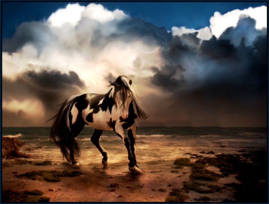 Horse Wallpaper Free Horse Wallpaper Horse Desktop Horse Wallpaper Free Horse Wallpaper Horse Desktop