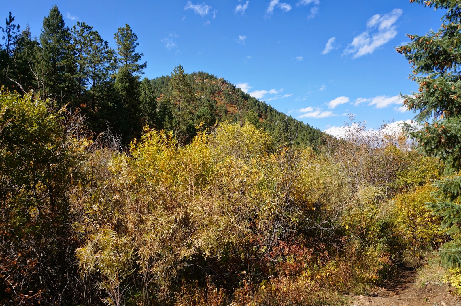 Go Hike Colorado Indian Creek Trail