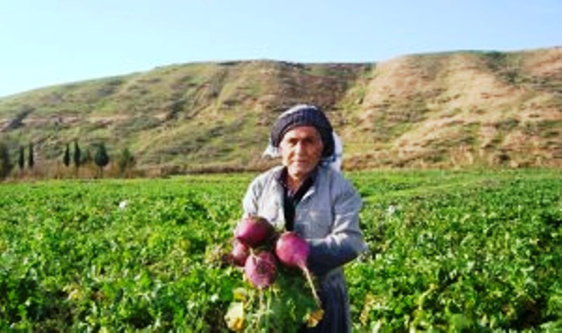 Kurdistan Agriculture