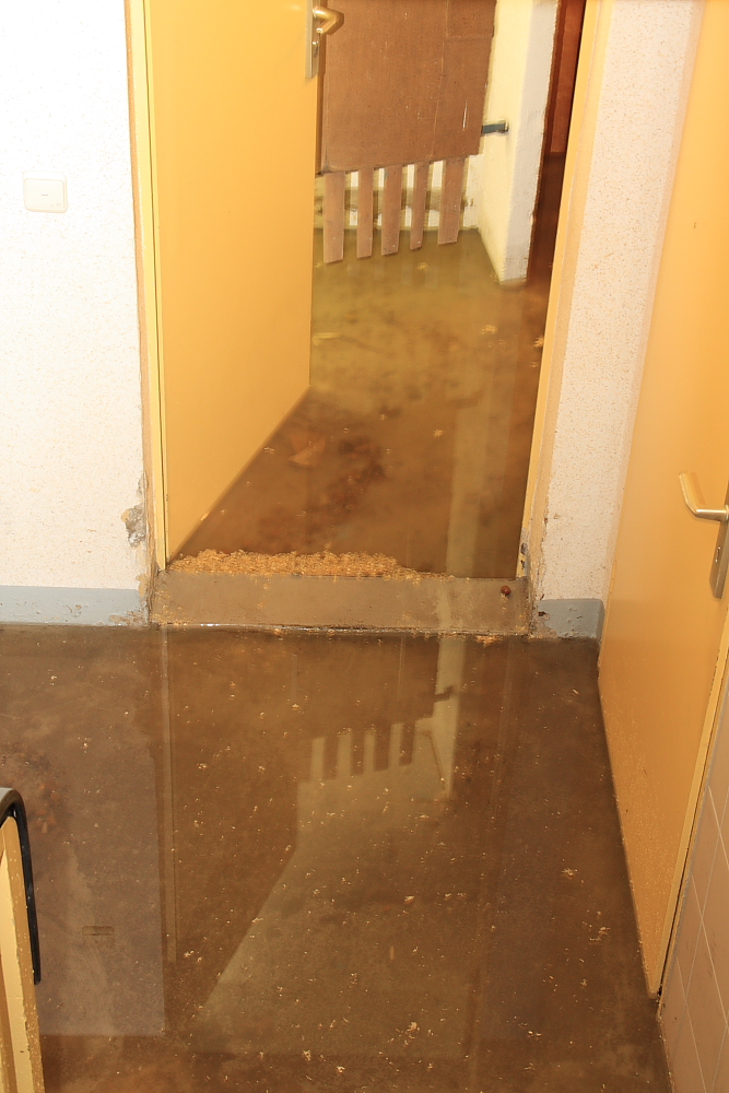 Forum Slooowriders Rock N Roller