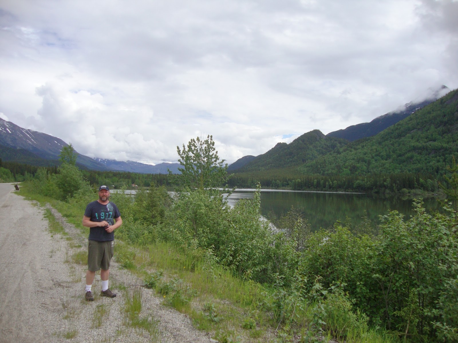 A Tangled Webb Dease Lake BC to Watson Lake Yukon