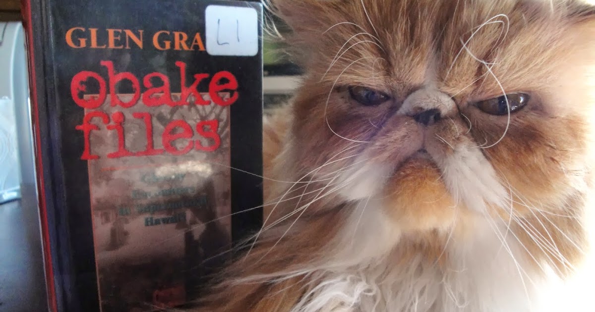 Obake Files Ghostly Encounters in Supernatural Hawai‘i by Glen Grant The Cat Overlord Book Club