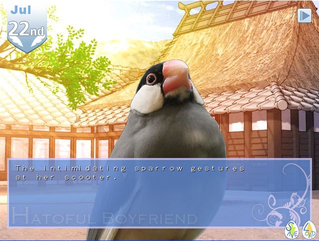 Hatoful boyfriend wiki book
