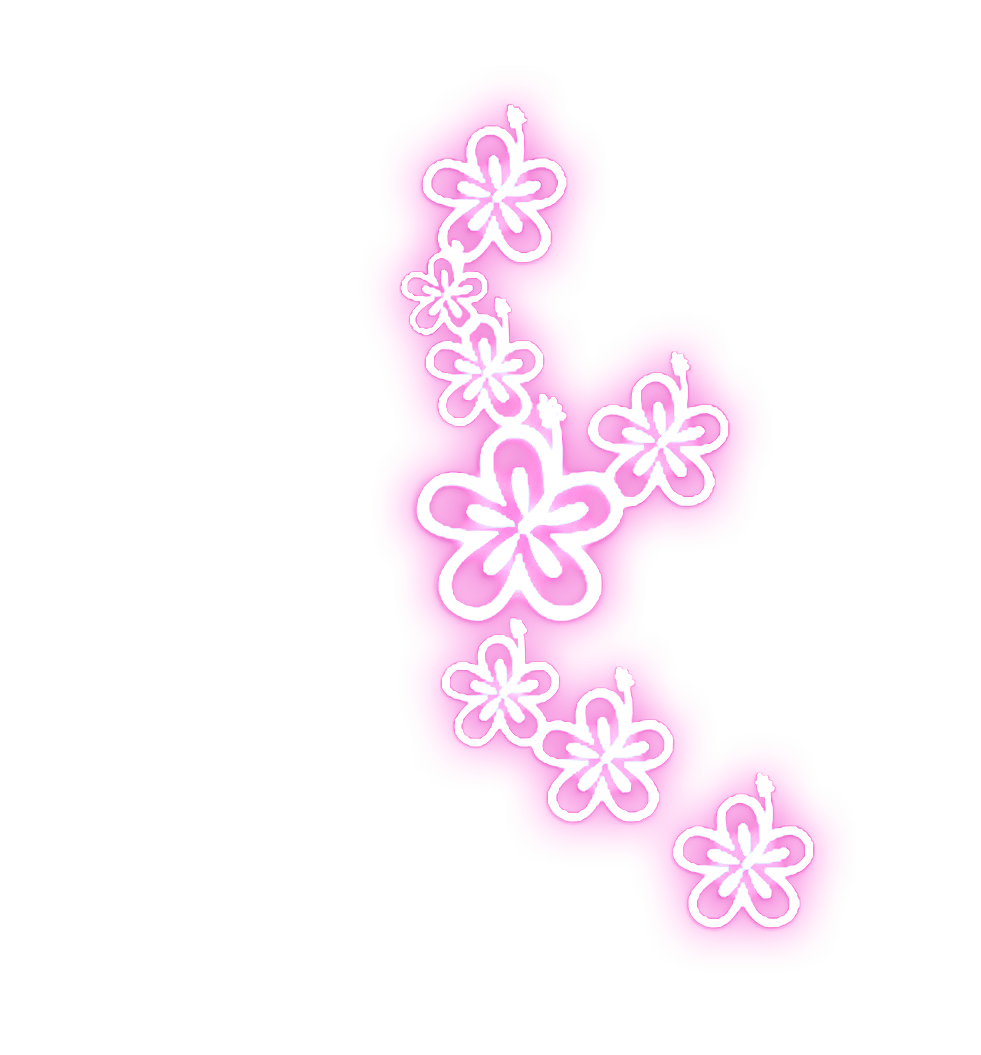 Flower Effects For Photoscape 24/02/2013 Free Photo Editing Effects Master Effetcs