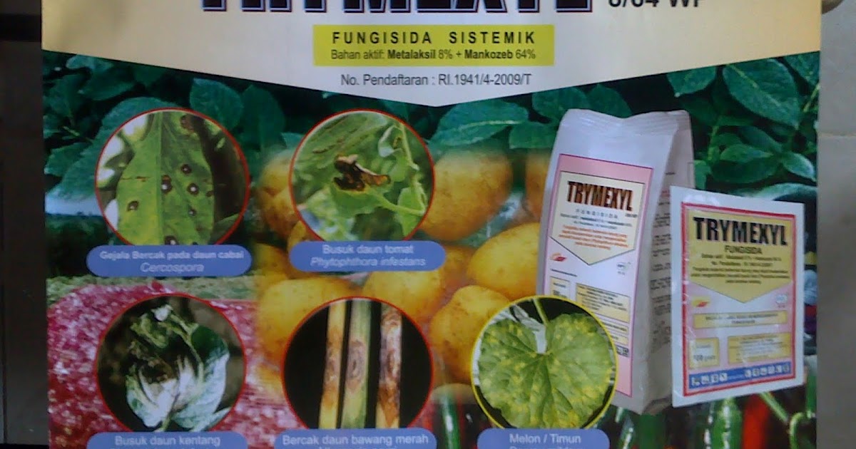 RATU AGRO BINAINDO: TRIMEXYL 8/64WP
