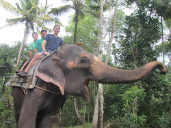 Elephant Ride