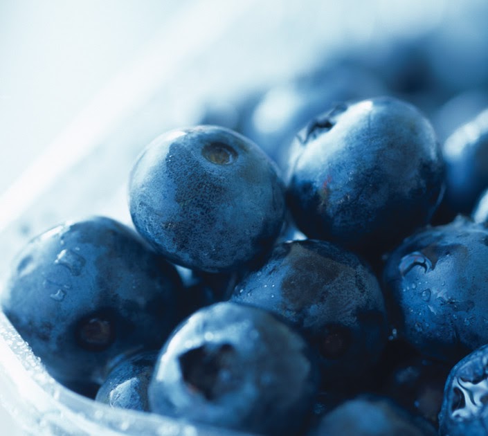 Blueberries and Weight Loss Montreal Naturopath