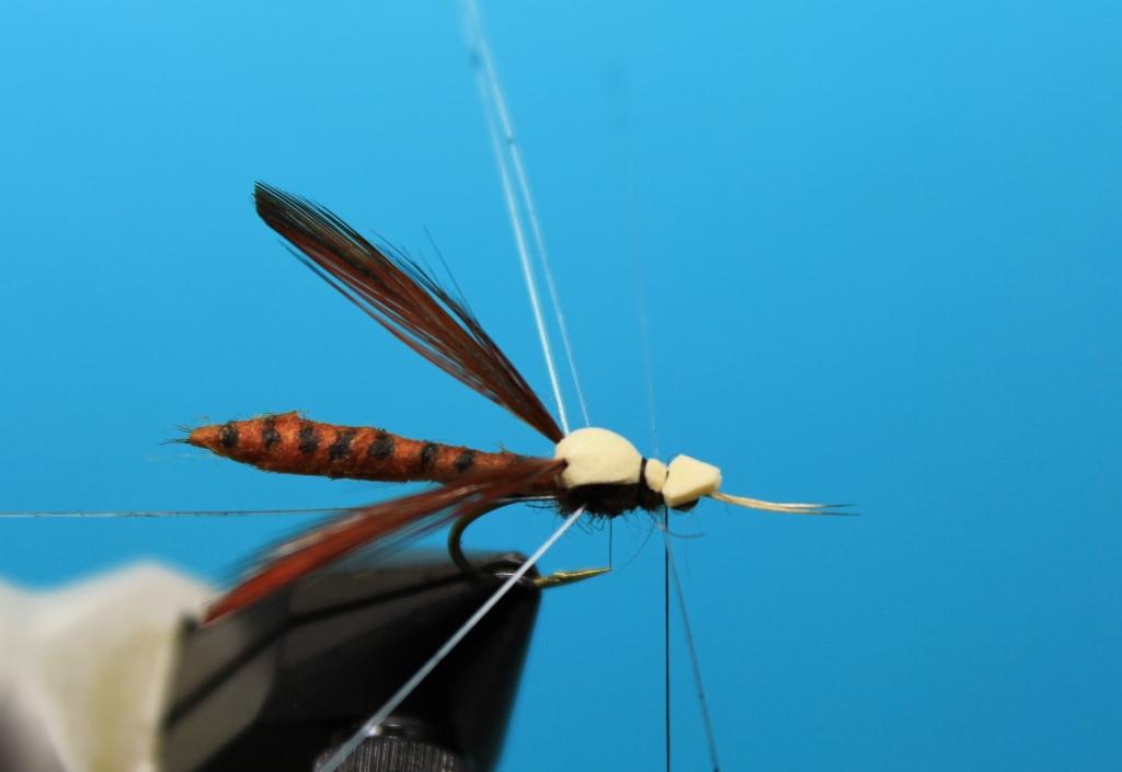 Fly Tying Nation Daddy Long Legs