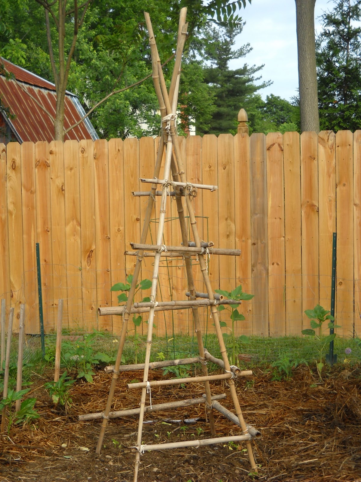 How To Build A Green Bean Trellis Mother 2 Mother Blog
