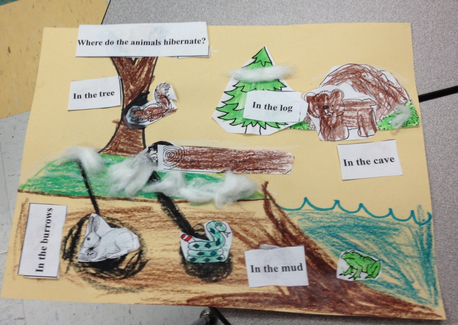 Ms. Crowley's Class What Do Animals Do In Winter?