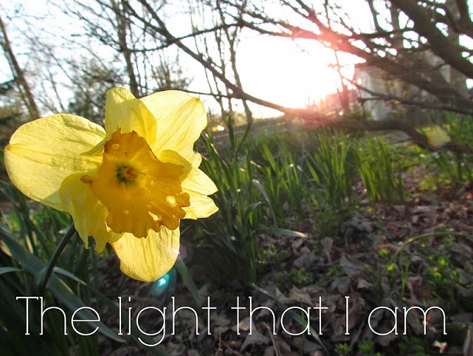 The Light that I am