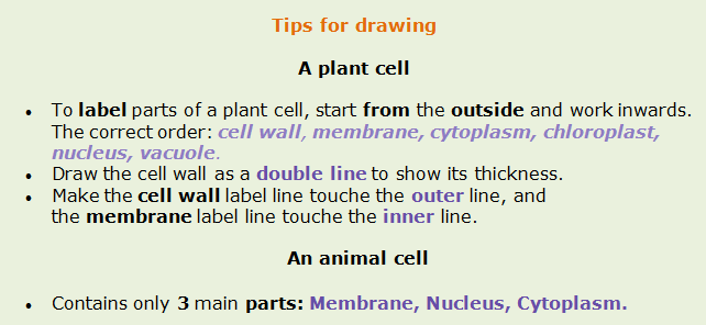 Biology Notes for IGCSE 2014 & 2024: #14: Cell structure