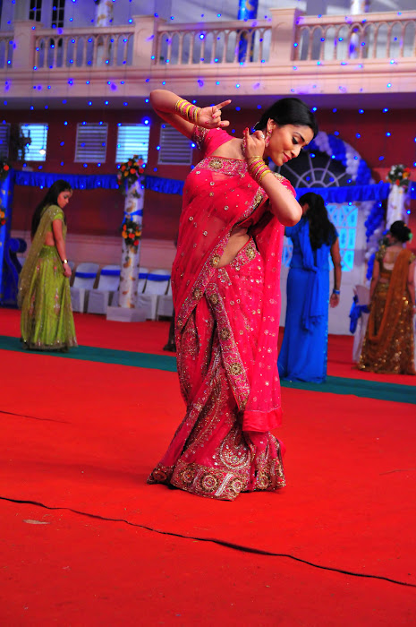 shriya saran traditional saree look latest photos