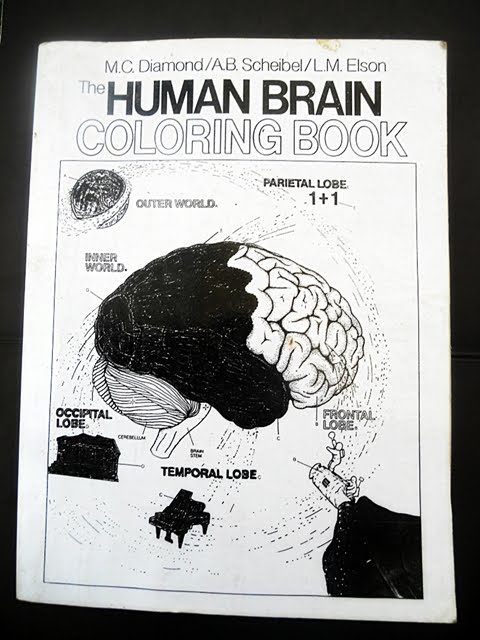 Gudang Buku Dinda: THE HUMAN BRAIN COLORING BOOK, M.C Diamond/A.B