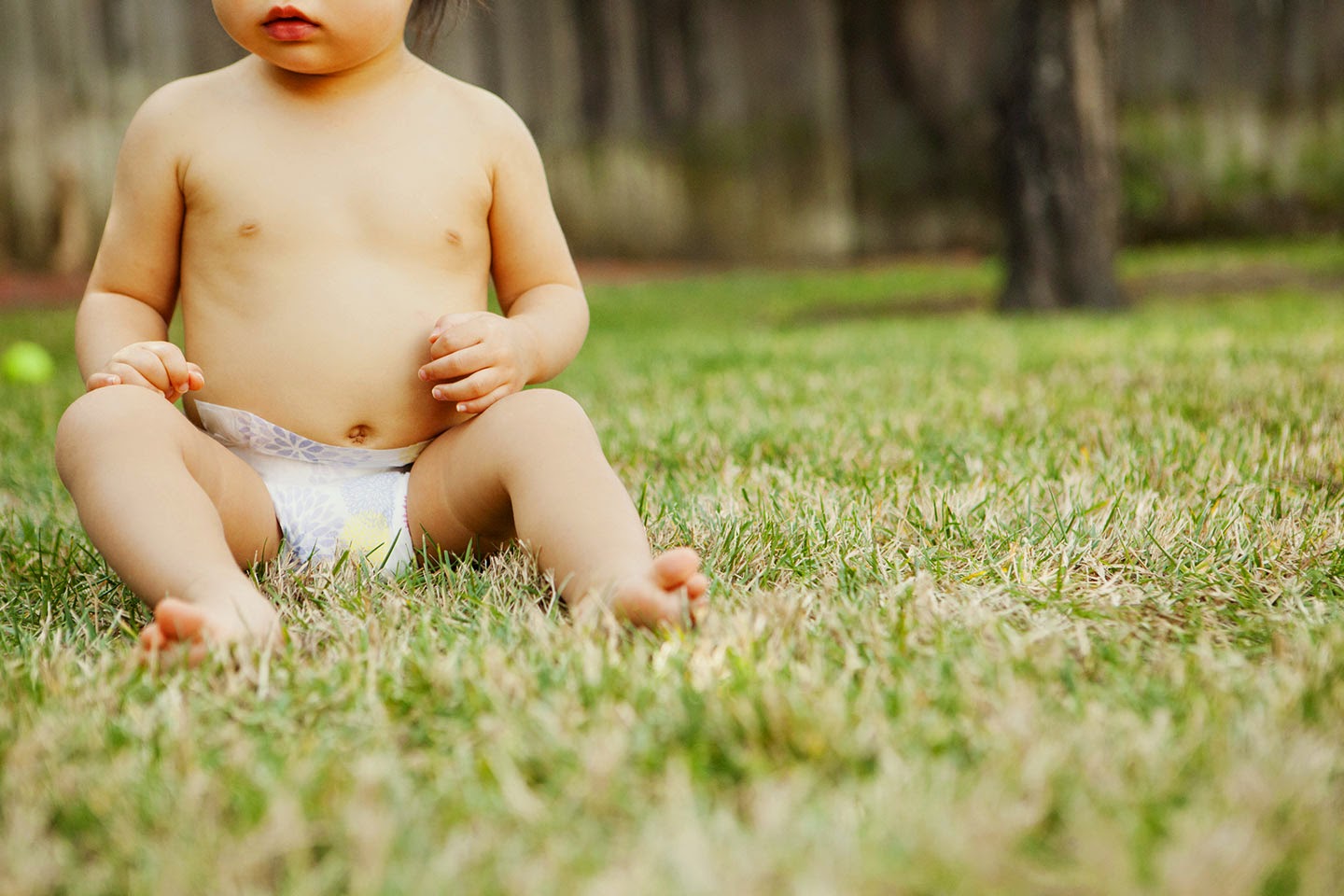 The Passionate Parsley The Wide World of Disposable Diapers
