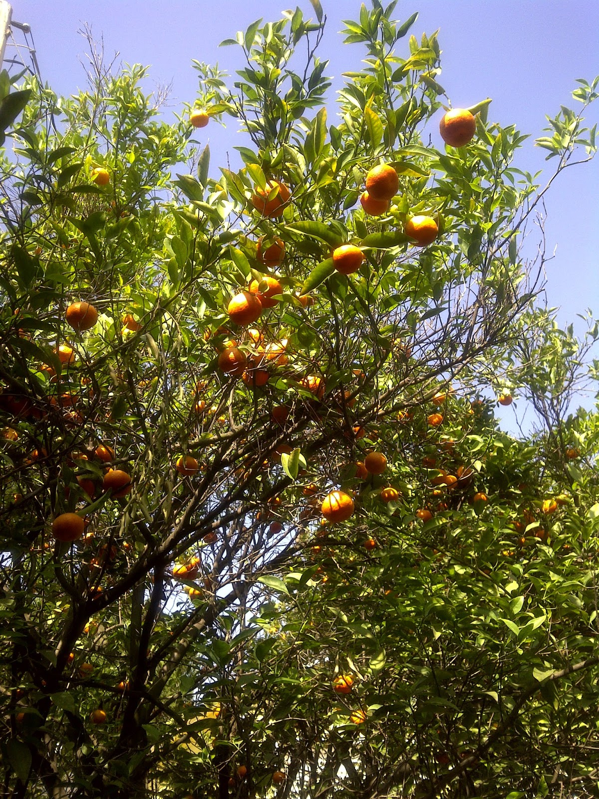 Shine Beauty Beacon Spring SPF Make the Most of Community Giving