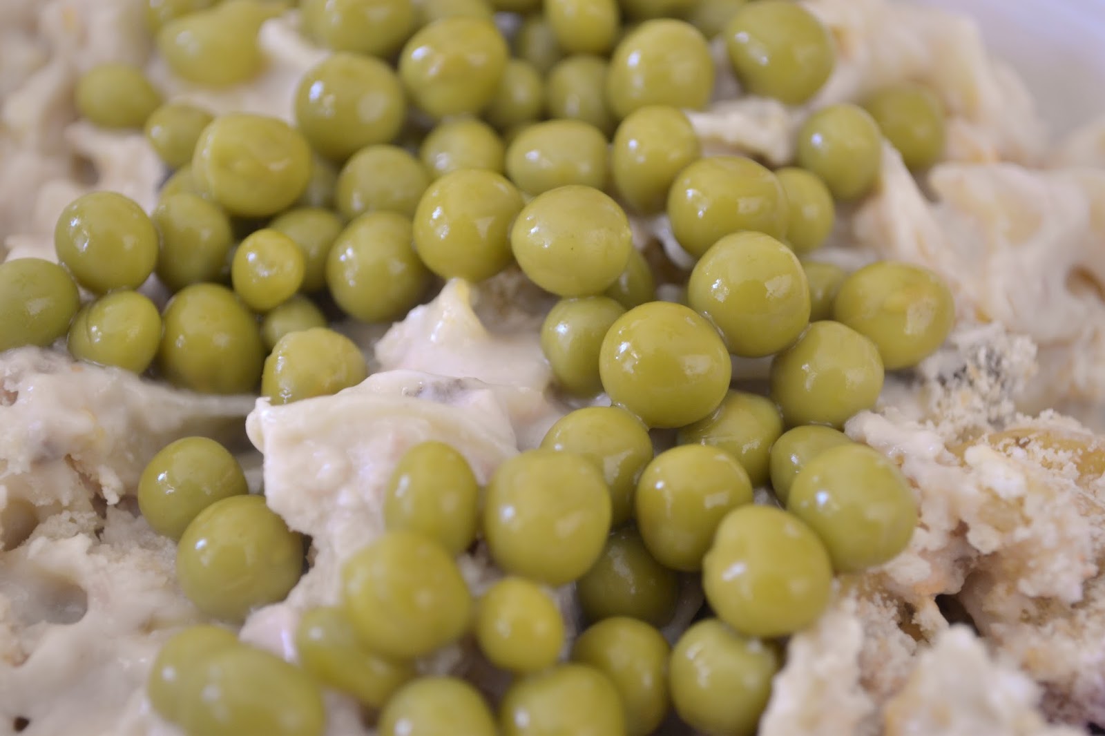 Cast Iron Stew Tuna Noodle Casserole