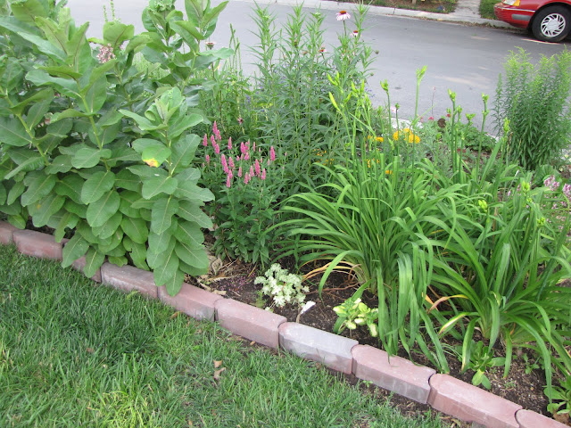 A Corner Garden: June 2011
