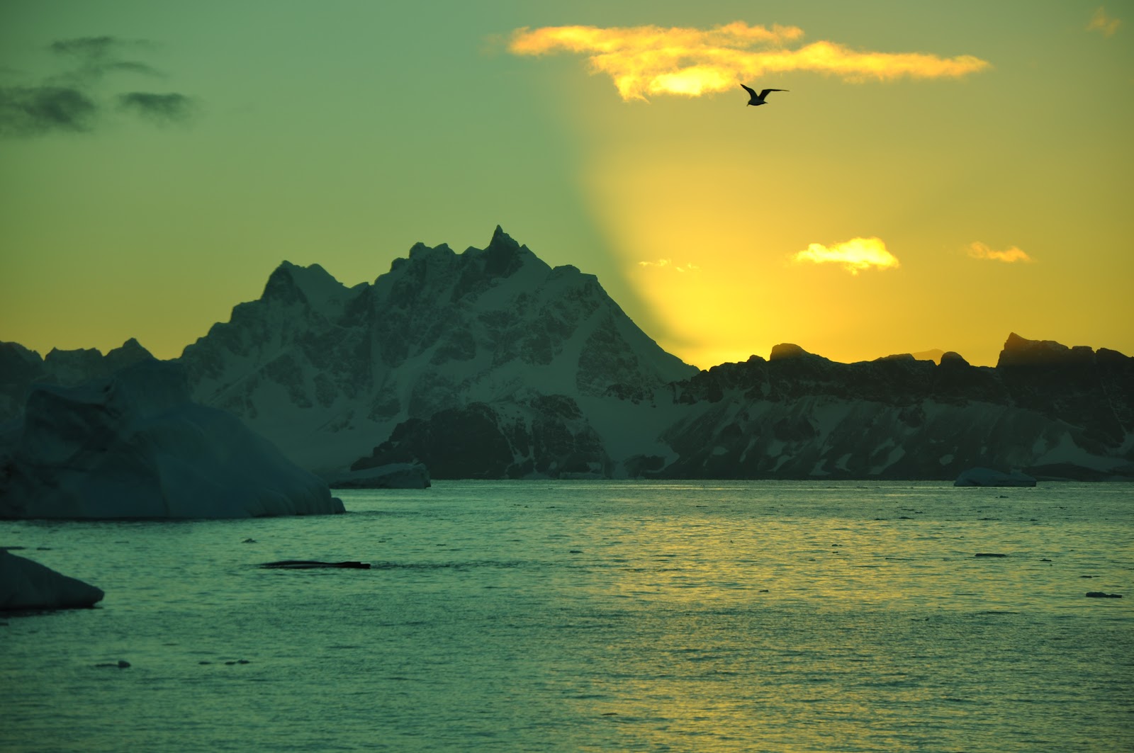 Antarctic Sunrise