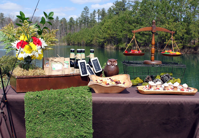 Camping Birthday Party ideas Camping Birthday Party ideas