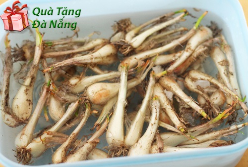 [Image: cu-kieu-ngam-chua-ngot-ngon-gion-don-tet-1.jpg]