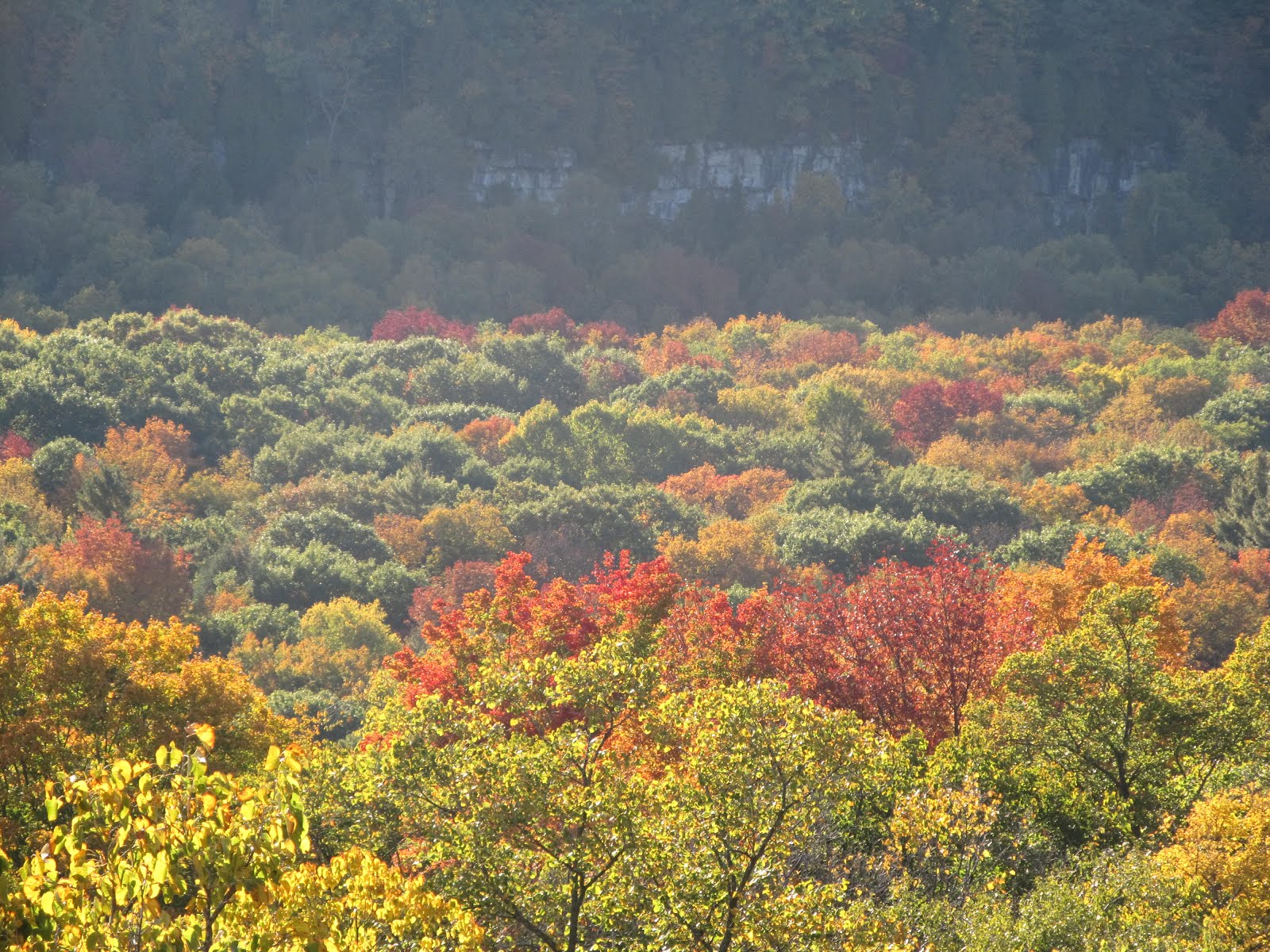 Fall Colors