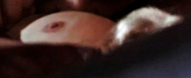 10 Uncommon Nudes #2 (Emma Watson, Candice Bergen, Winona Ryder) 223 Candice+Bergen+(8)