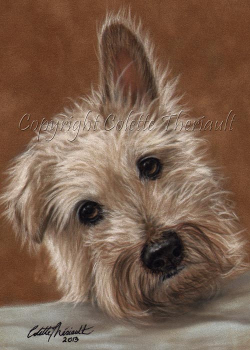Pet Portraits and Wildlife Art by Canadian Nature and Animal Artist