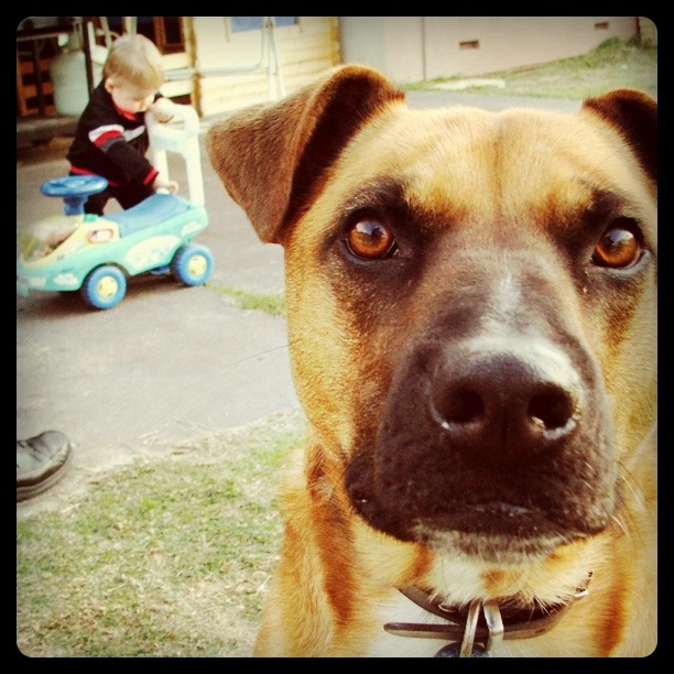 Where's My Glow? July 2011