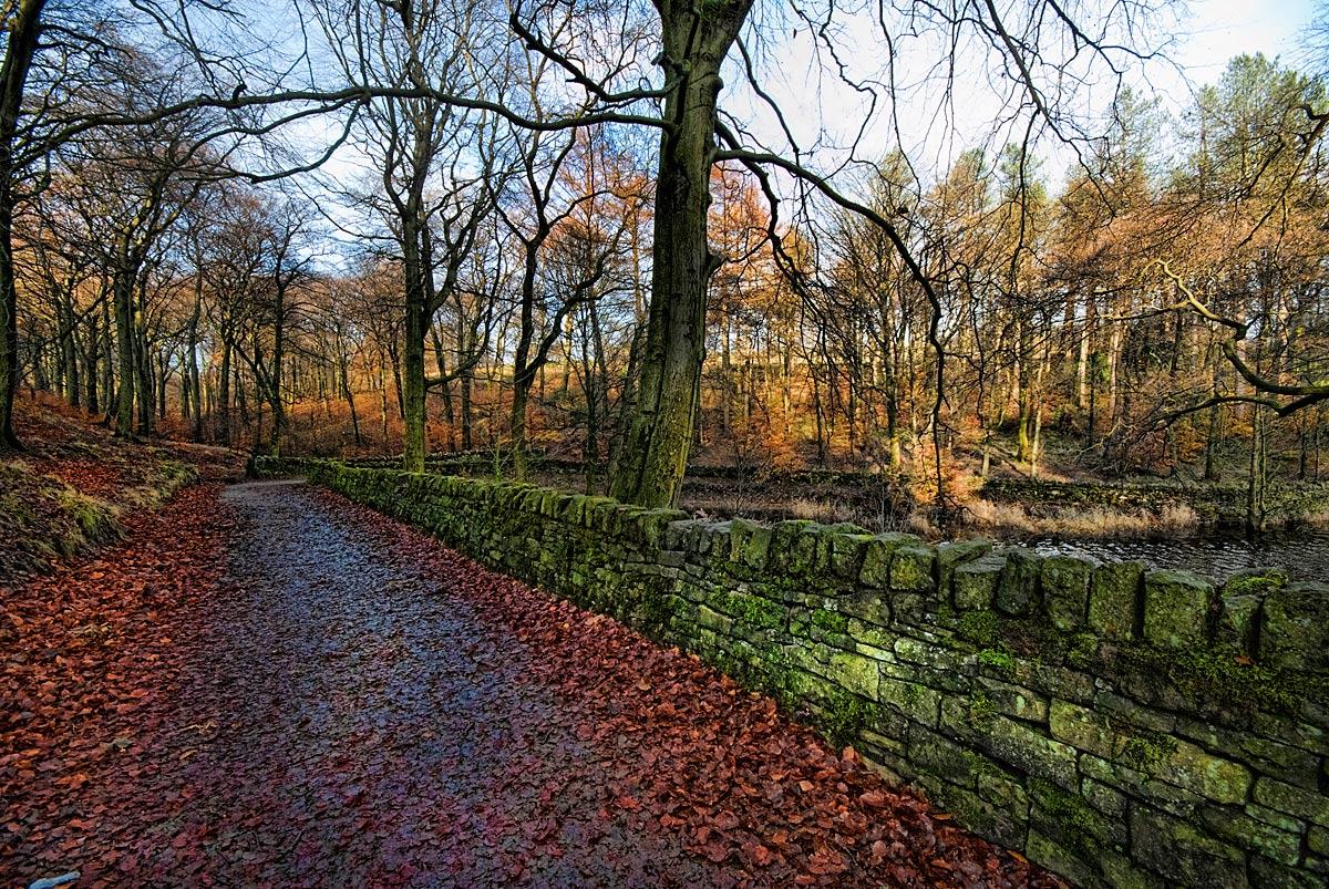 http://3.bp.blogspot.com/-Hb61sWuSCXE/UGpl_etlI_I/AAAAAAAAHZ4/f5pbc-AILvI/s1600/desktop+Fantastic+Wallpapers.jpg
