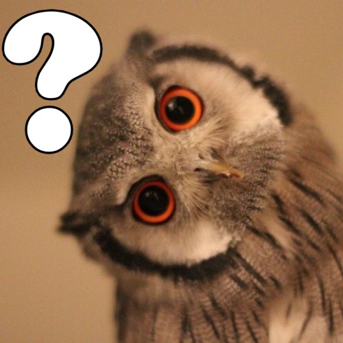 SuperBowl....hello Superbowl