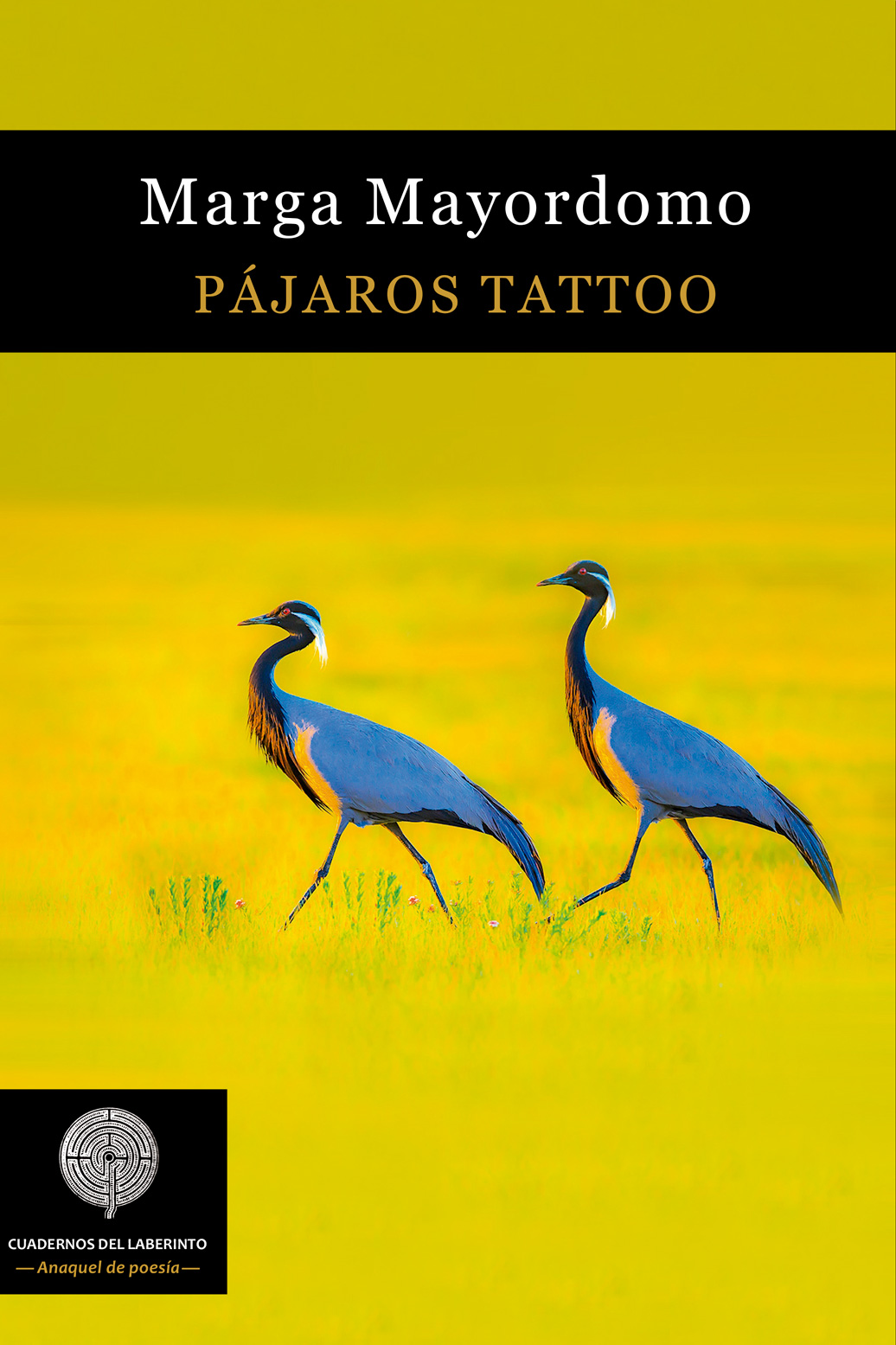 Pájaros Tattoo (Cuadernos del Laberinto, 2018)
